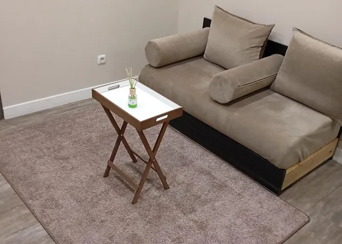 Appartement 2 Pieces A Louer